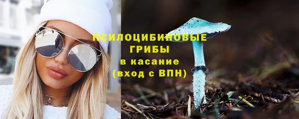 спайс Абаза