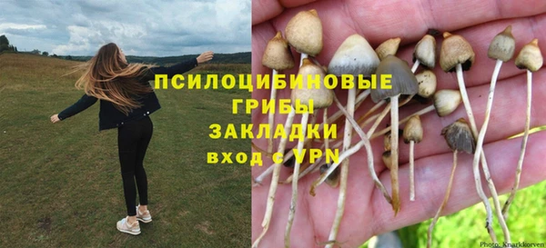 спайс Абаза