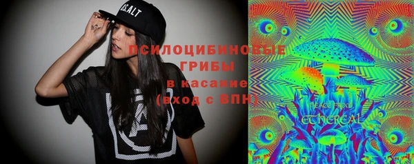 твердый Абинск